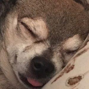 Meet your Posher, Christopher